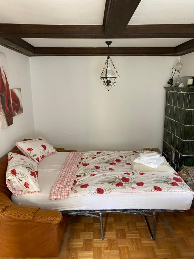 Ferienhaus Karin Schonabrunn المظهر الخارجي الصورة